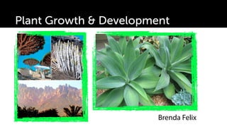 Plant Growth & Development




                        Brenda Felix
 