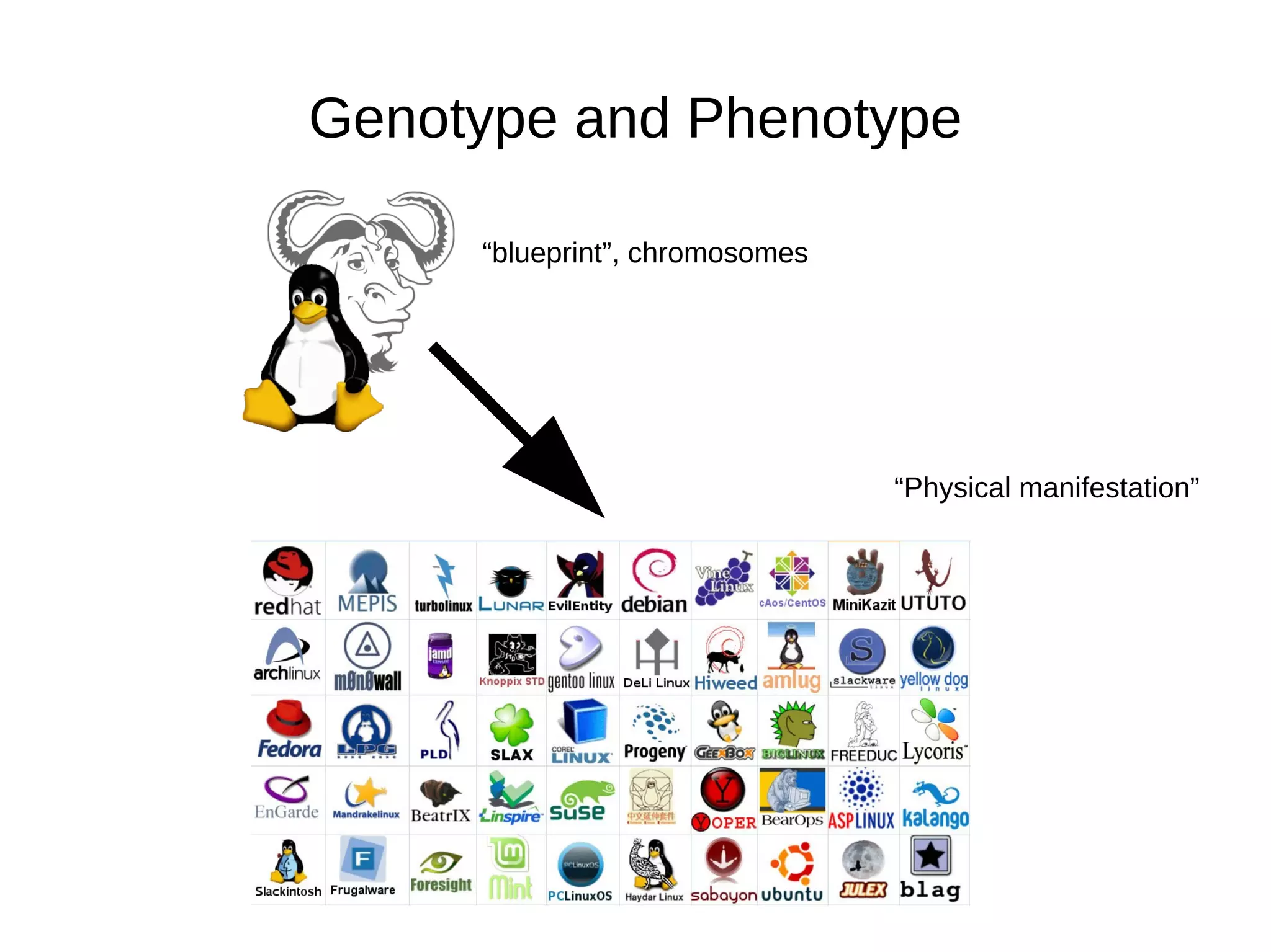 Domain knowledge is scarce or difficult to encode 