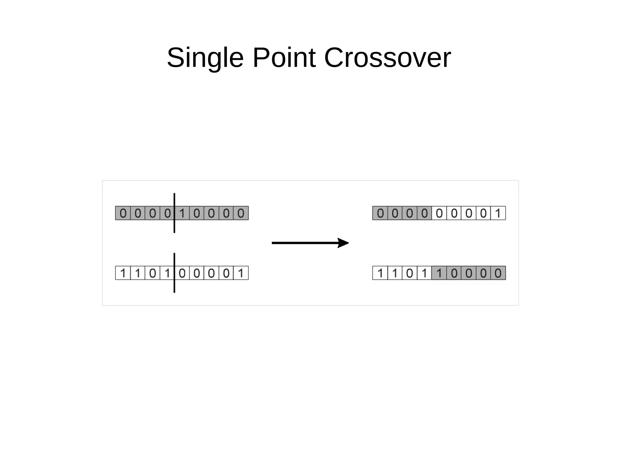 Phenotype is the value that results from putting in the (x,y) point into the function 