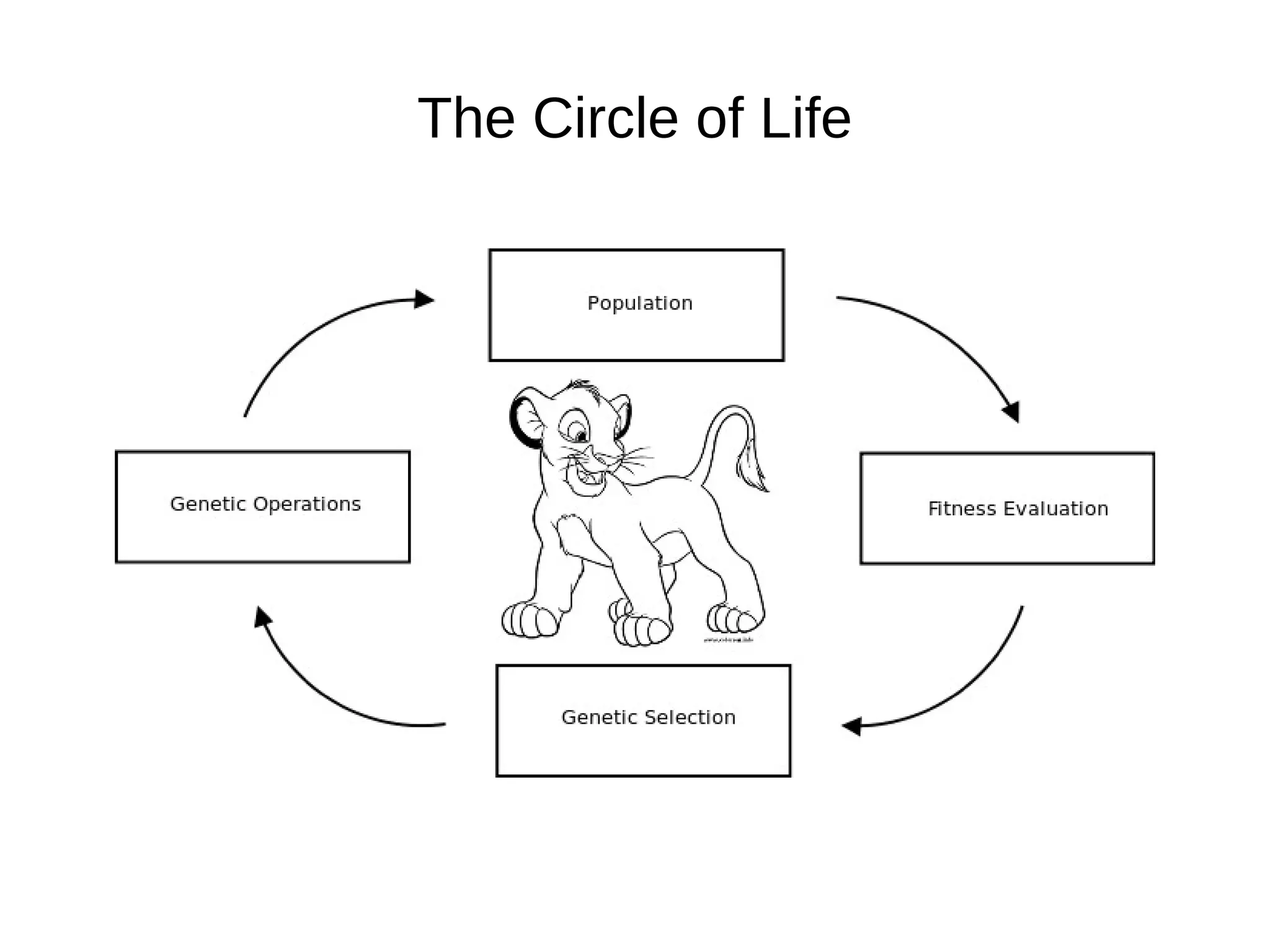 The Circle of Life 