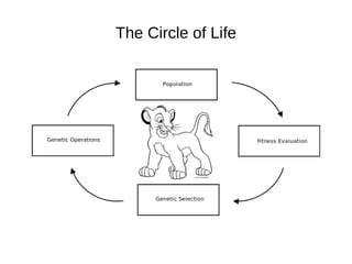 The Circle of Life 