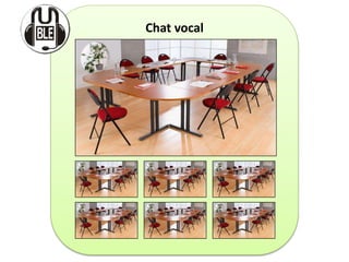 Chat vocal
 