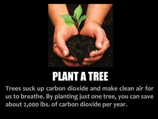 PLANT A TREE
Trees suck up carbon dioxide and make clean air for
us to breathe. By planting just one tree, you can save
about 2,000 lbs. of carbon dioxide per year.
 