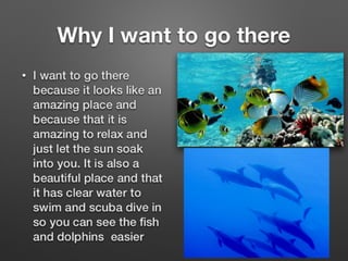 Presentation 10 | PDF