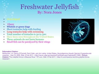 Freshwater Jellyfish By: Nora Jones Oval-shaped Diameter is 5-25mm   Glassy Whitish or green tinge Short tentacles help with feeding Long tentacles help with swimming  Total number of tentacles is 50 to 500 Have been seen throughout the United States These animals do not harm humans Small fish can be paralyzed by their stings  I nformation Citation: McKercher, Liz, Danny O'Connell, Pam Fuller, and Jim Liebig. United States.  Nonindigenous Aquatic Species-Craspedacusta sowerbyi . , Aug 19, 2009. Web. 9 Feb 2011. <http://nas.er.usgs.gov/queries/FactSheet.aspx?speciesID=1068>.  Picture Citation: "Tiny Jellyfish thrive in Moscow River."  RT.com . Web. 9 Feb 2011. <http://rt.com/news/sci-tech/tiny-jellyfish-thrive-moscow/>.  