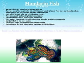 Mandarin Fish By Lily McNeil Mandarin Fish are part of the dragonets species They are one of the coral reef’s fish with the most variety of color. They have psychedelic colors. Although they are very colorful they still are hard to find They live in groups from just two fish to up to five.  They can usually be found right before sundown. Their scientific name is Synchiropus Splendidus.  They usually consume are mysids, amiphods, isopods,  and benthic copepods.  Mandarin fish do not have scales.  The male is larger and more colorful than the female.  The male also has long spikes along his dorsal fin for protection. "Mandarin Fish." New Approach To Dive 9/18/2006: 3. Web. 10 Feb 2011. <http://www.zerobar.org/mandarin-fish/>.     Sewell, Terry. "Mandarin Fish ." Fishbowl DC. Media Bistro, 4/5/10. Web. 10 Feb 2011. <http://www.mediabistro.com/fishbowldc/>. 