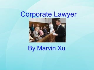 Corporate Lawyer By Marvin Xu 