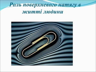 Роль поверхневого натягу в житті людини 