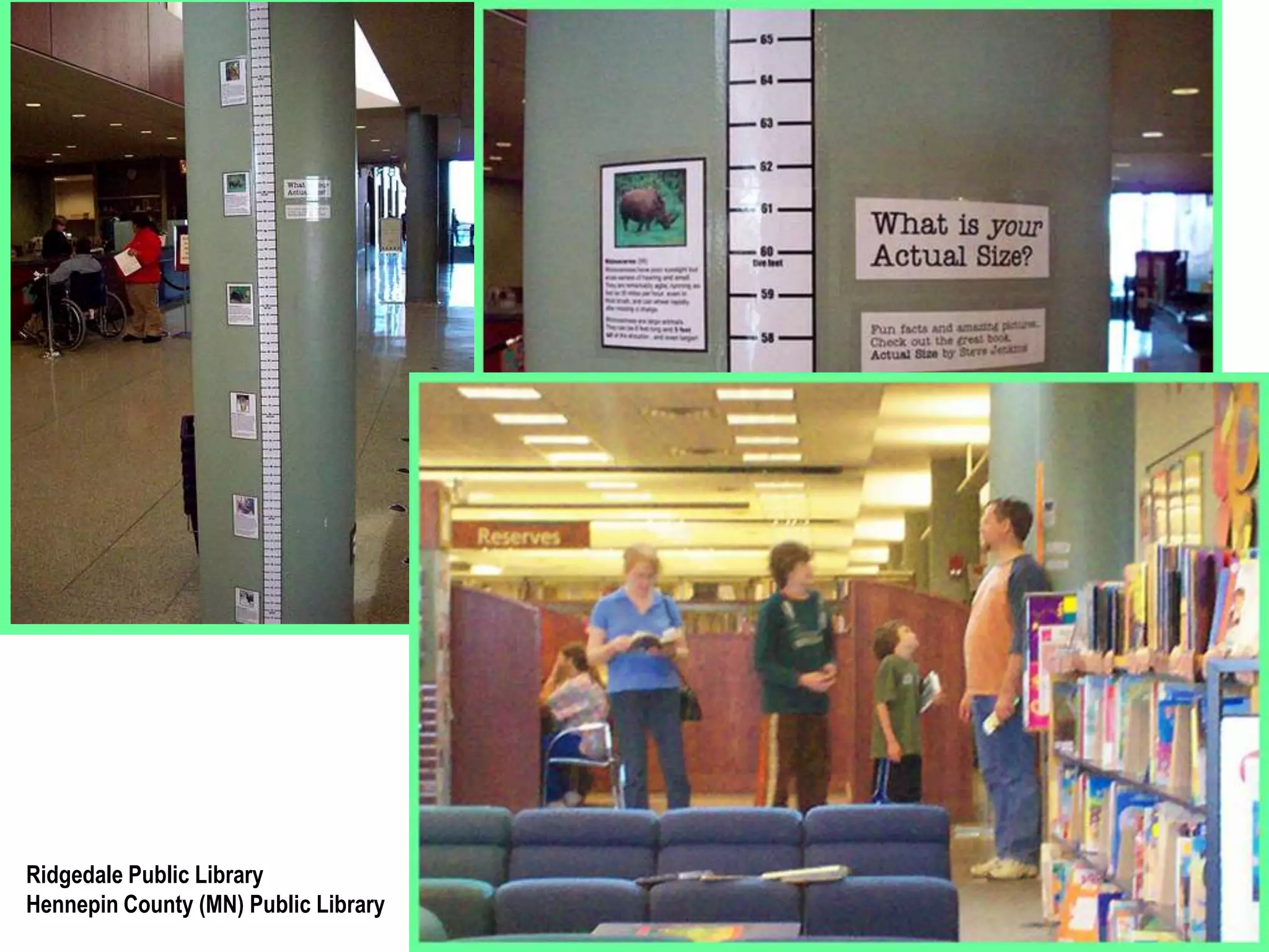 Cognitive and general knowledge 