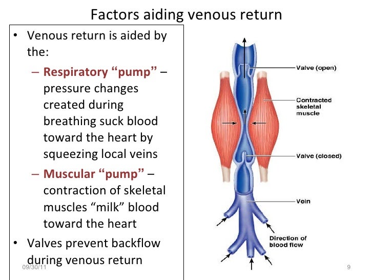 venous return