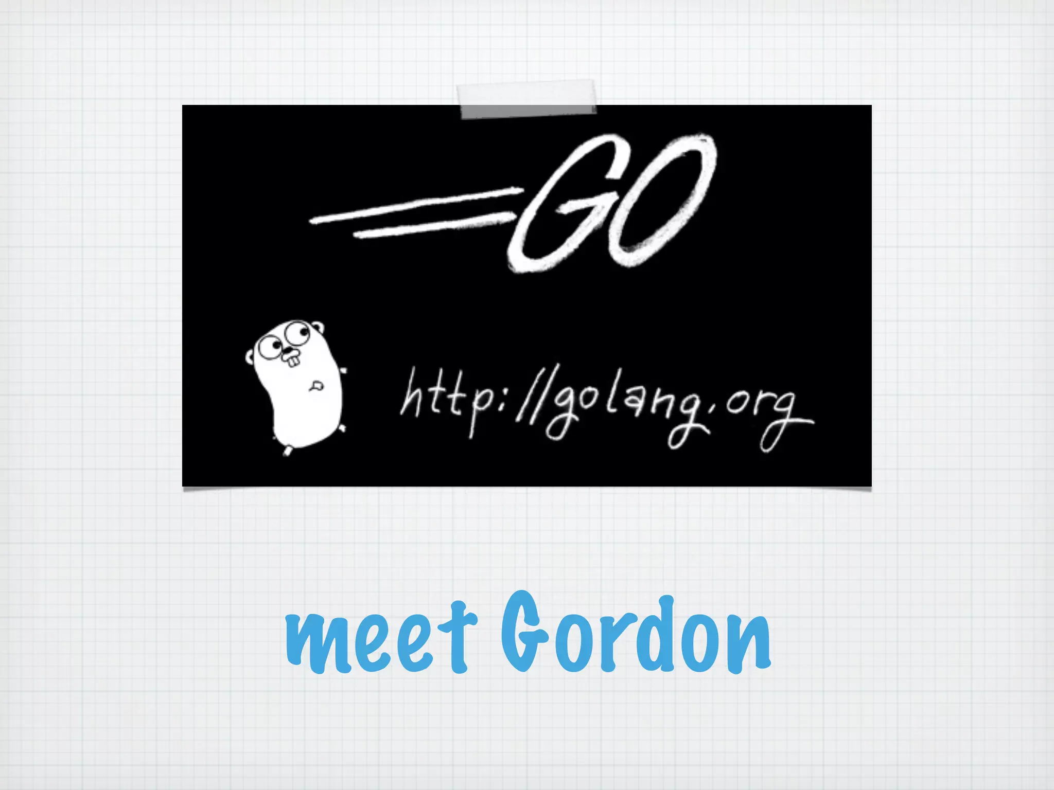 meet Gordon
 