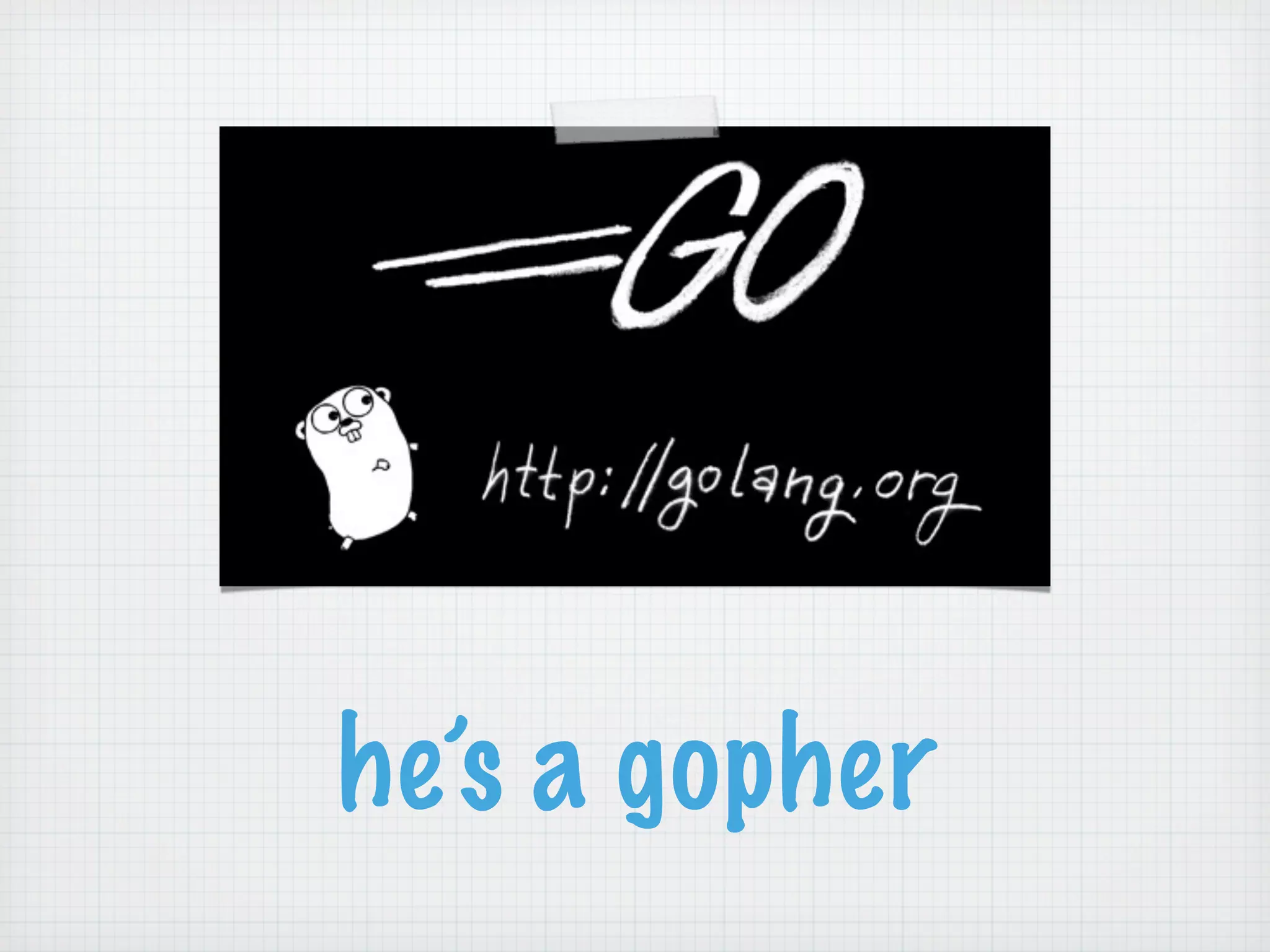 he’s a gopher
 