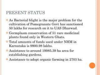 PRESENT STATUS As Bacterial blight is the major problem for the cultivation of Pomegranate Govt has sanctioned 50 lakhs for research on it to UAS Dharwad. Germplasm conservation of 51 rare medicinal plants found only in Western Ghats. Total amounts of funds used under NHM in Karnataka is 9900.98 lakhs. Assistance to around 19985.39 ha area for establishing gardens. Assistance to adopt organic farming in 2703 ha. 