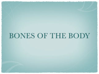BONES OF THE BODY
 
