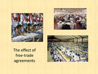 The effect of
 free-trade
agreements
 