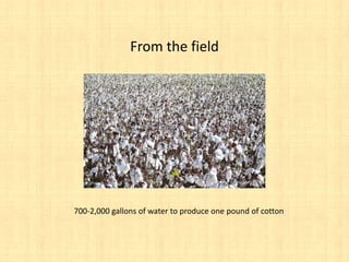 From the field




700-2,000 gallons of water to produce one pound of cotton
 