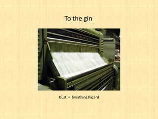 To the gin




Dust = breathing hazard
 