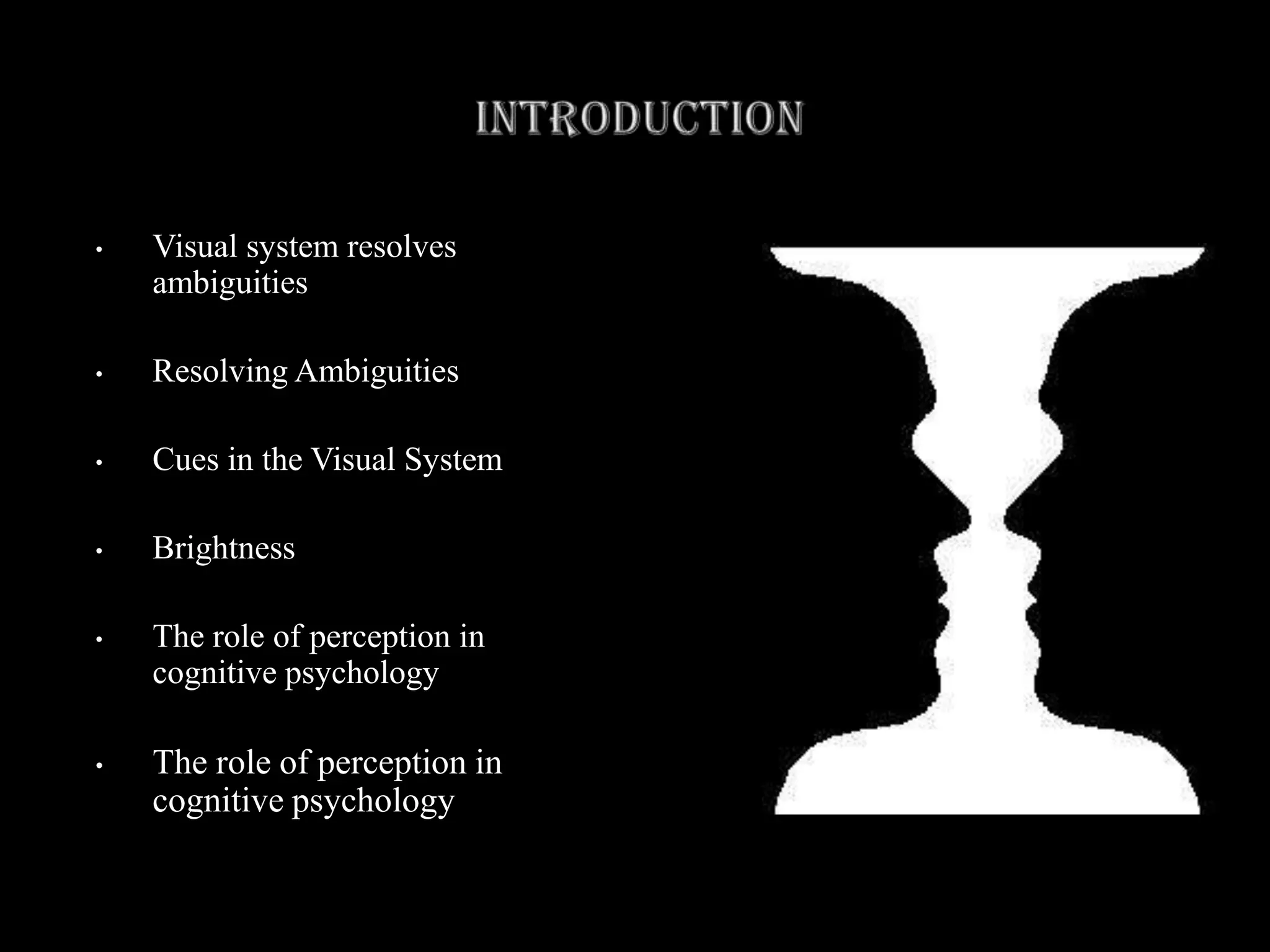 Visual Ambiguity Presentation | PPTX