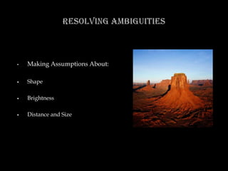 Visual Ambiguity Presentation | PPTX