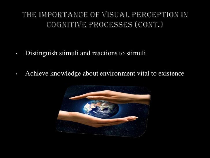 Visual Ambiguity Presentation