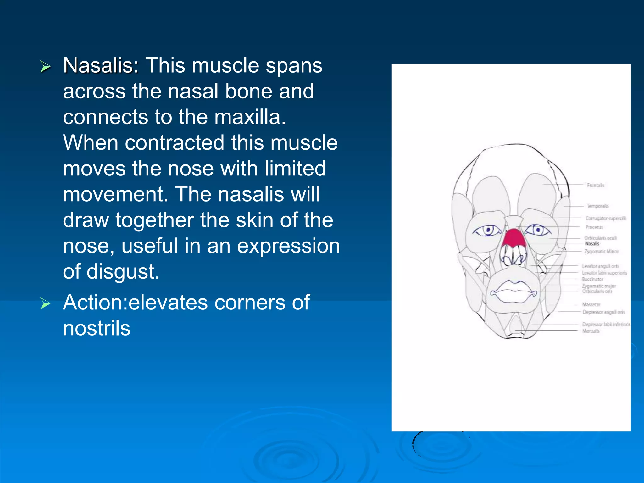 facial expression A.U