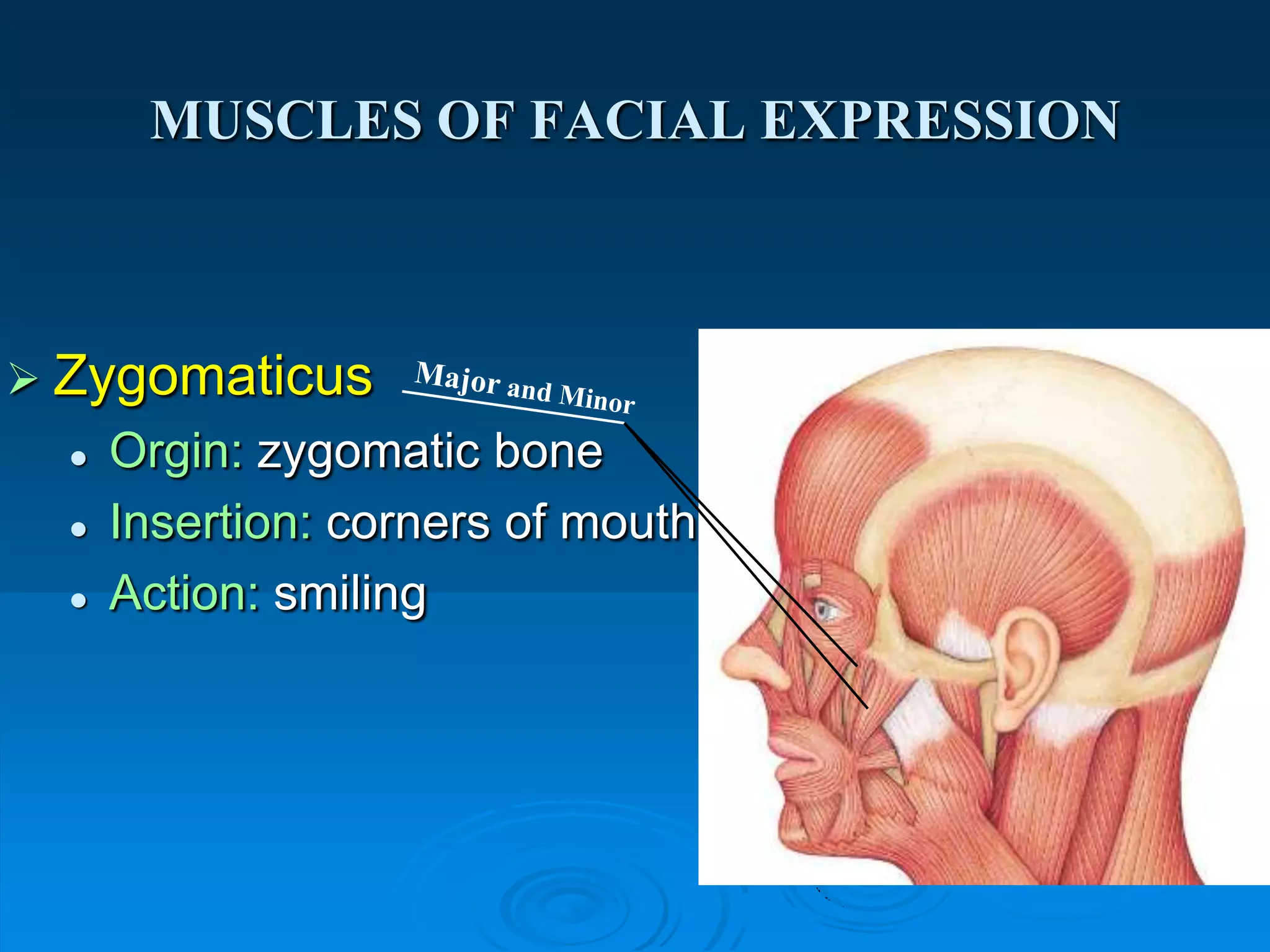 facial expression A.U