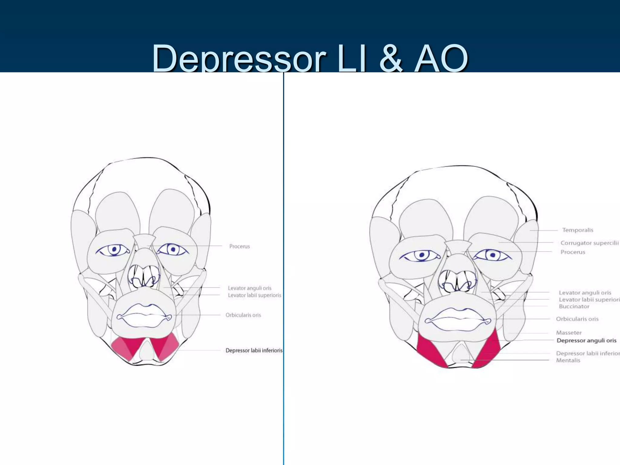 facial expression A.U