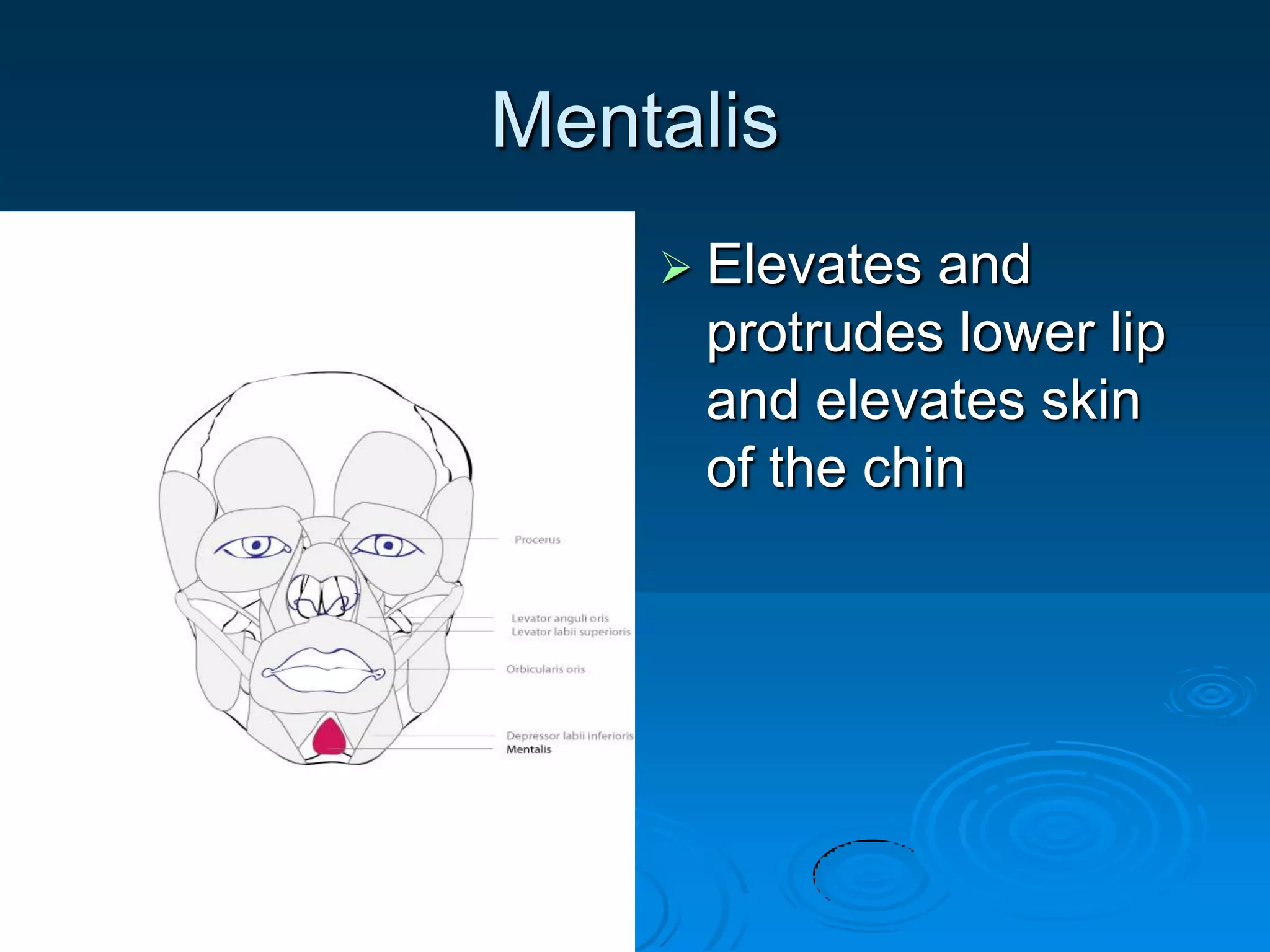 facial expression A.U