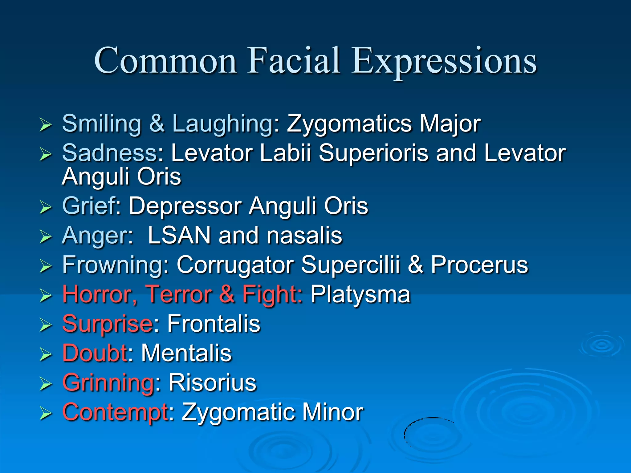 facial expression A.U