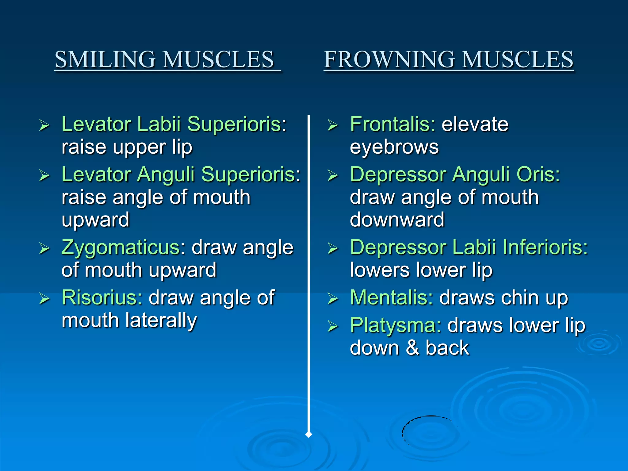 facial expression A.U