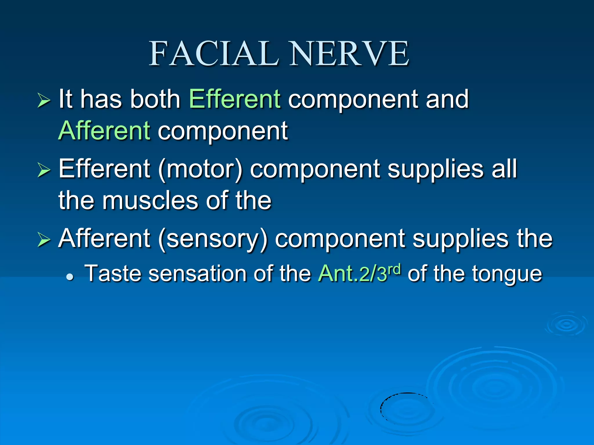 facial expression A.U