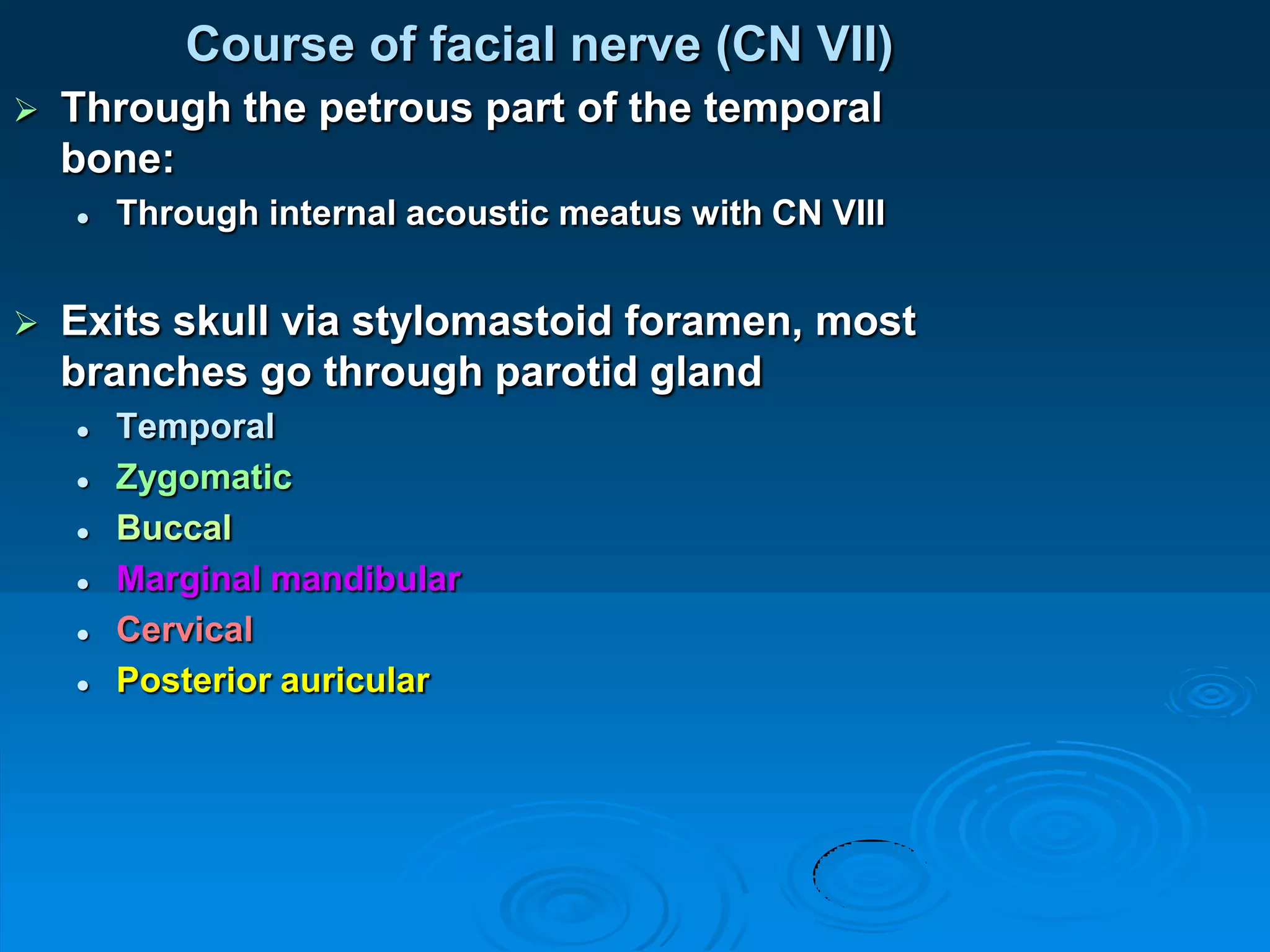 facial expression A.U