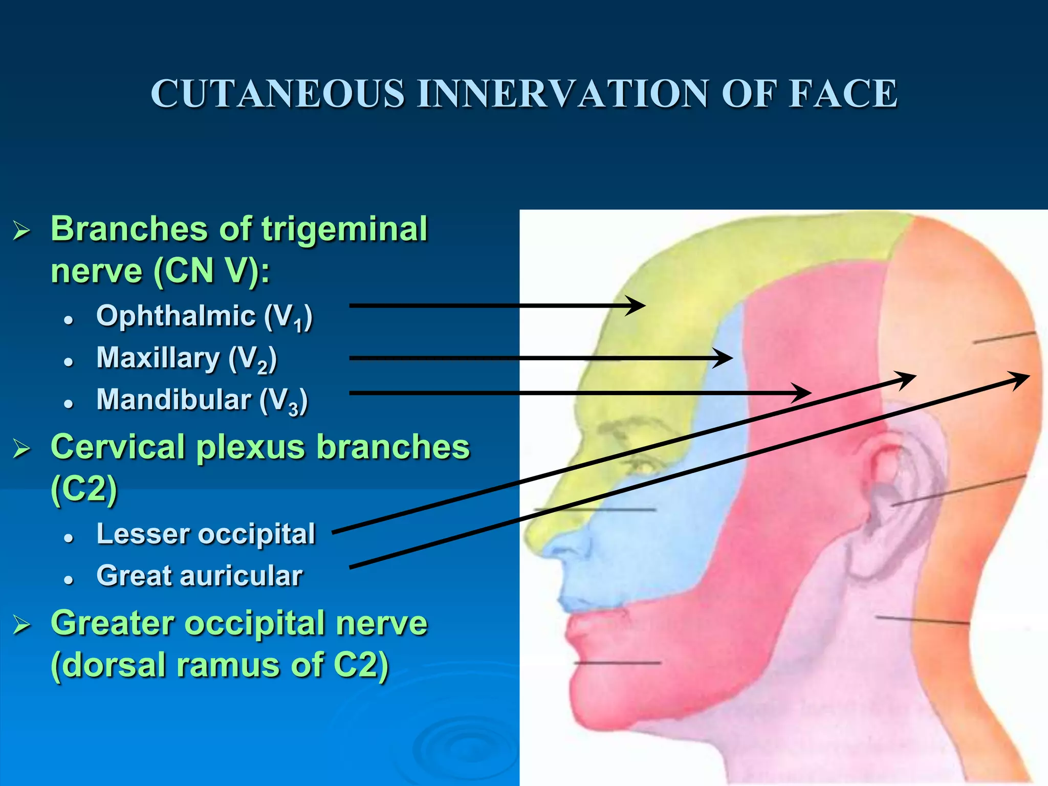 facial expression A.U