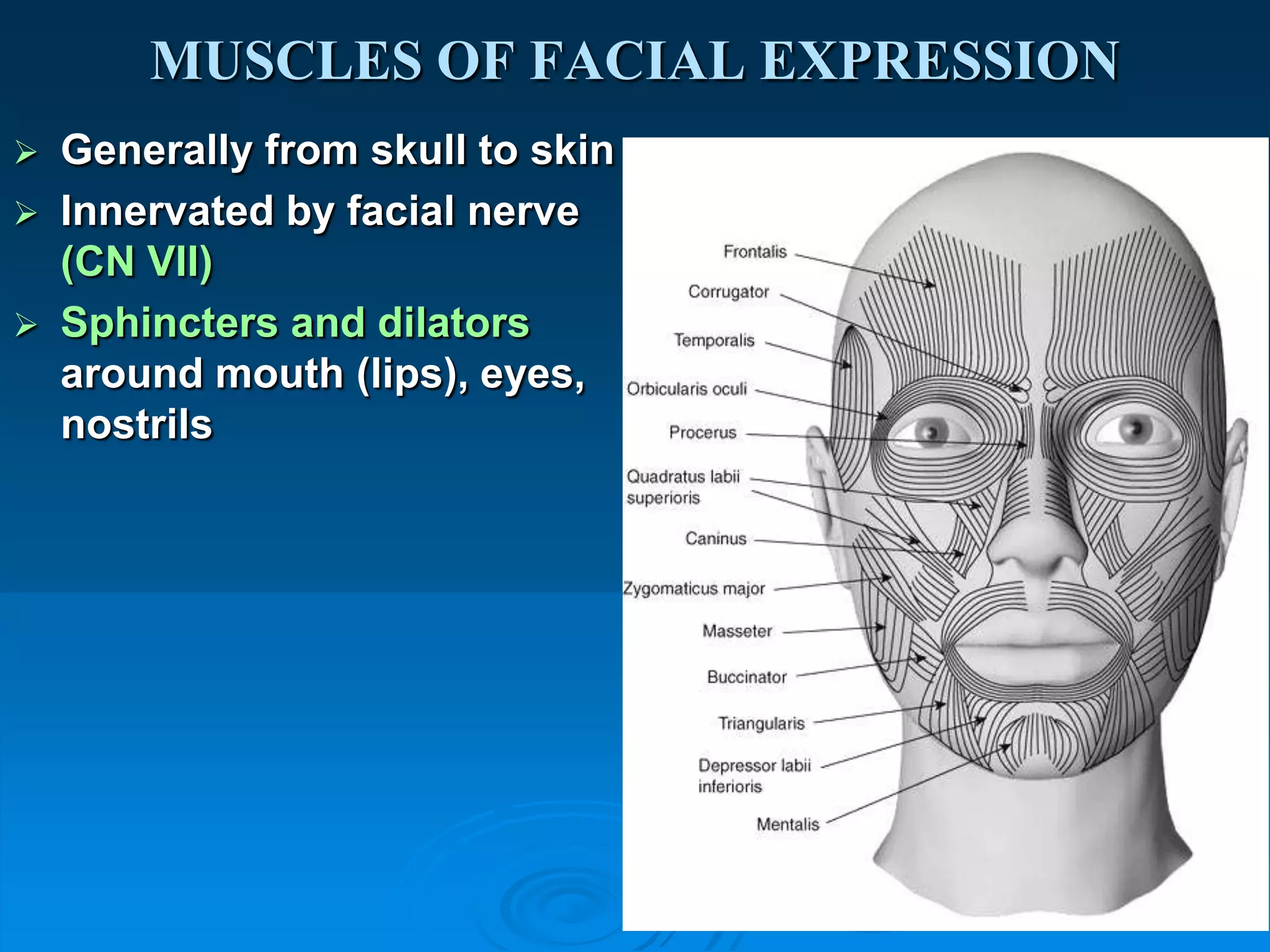 facial expression A.U