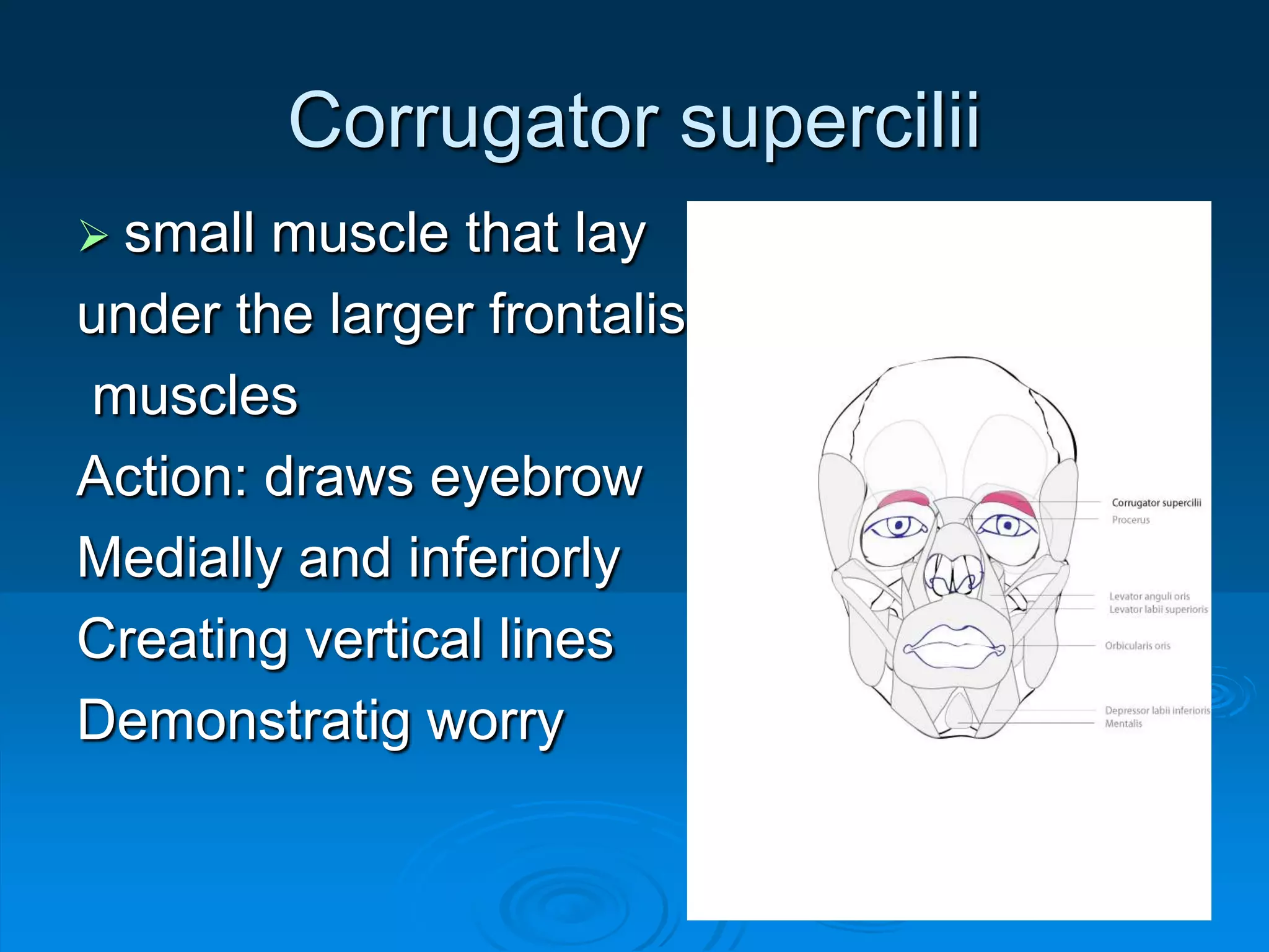 facial expression A.U