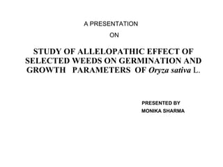 STUDY OF ALLELOPATHIC EFFECT OF SELECTED WEEDS ON GERMINATION AND GROWTH  PARAMETERS  OF  Oryza sativa  L. PRESENTED BY MONIKA SHARMA A PRESENTATION ON 