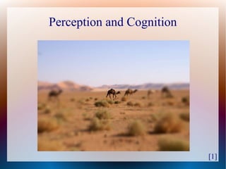 Perception and Cognition




                           [1]
 