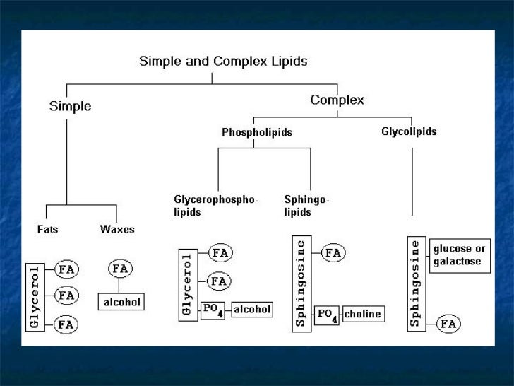 download mathematical modeling of biosensors: an