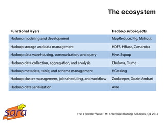 The ecosystem




The Forrester WaveTM: Enterprise Hadoop Solutions, Q1 2012
 