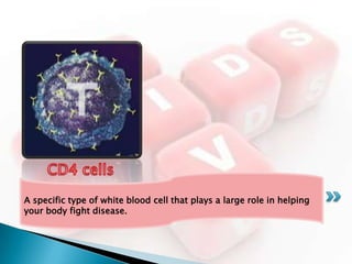 A specific type of white blood cell that plays a large role in helping
your body fight disease.
 