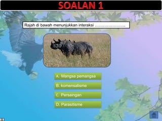 Rajah di bawah menunjukkan interaksi …………………..




              A. Mangsa pemangsa

              B. komensalisme

              C. Persaingan

              D. Parasitisme
 