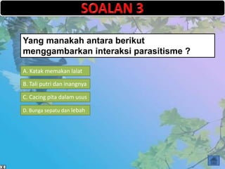 Yang manakah antara berikut
menggambarkan interaksi parasitisme ?

A. Katak memakan lalat

B. Tali putri dan inangnya

C. Cacing pita dalam usus

D. Bunga sepatu dan lebah
 