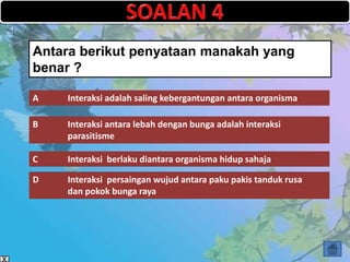 Antara berikut penyataan manakah yang
benar ?

A   Interaksi adalah saling kebergantungan antara organisma

B   Interaksi antara lebah dengan bunga adalah interaksi
    parasitisme

C   Interaksi berlaku diantara organisma hidup sahaja

D   Interaksi persaingan wujud antara paku pakis tanduk rusa
    dan pokok bunga raya
 