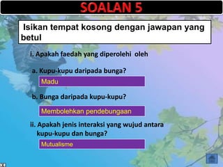 Isikan tempat kosong dengan jawapan yang
betul
  i. Apakah faedah yang diperolehi oleh

  a. Kupu-kupu daripada bunga?
     Madu

  b. Bunga daripada kupu-kupu?
     Membolehkan pendebungaan
  ii. Apakah jenis interaksi yang wujud antara
      kupu-kupu dan bunga?
     Mutualisme
 