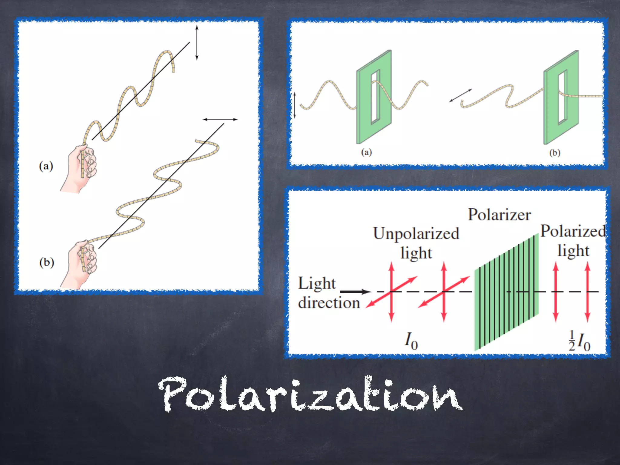 Polarization