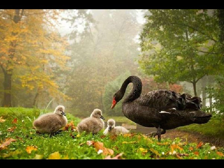 The winner of the weekly contest on photorush.com (Matthew Morgan) 