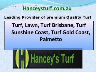 Hanceysturf.com.au
Leading Provider of premium Quality Turf

   Turf, Lawn, Turf Brisbane, Turf
   Sunshine Coast, Turf Gold Coast,
              Palmetto
 