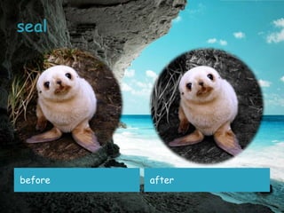 before   after
 