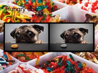 Hungry dog




before       after
 