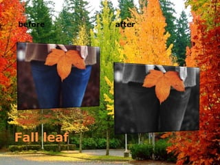 before      after




Fall leaf
 